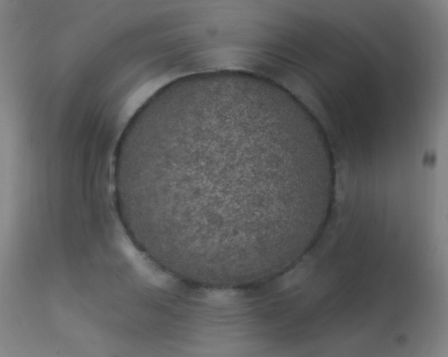 X0000113361031200909221154