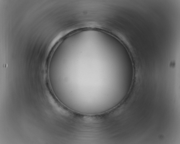 X0000113361032200909221154
