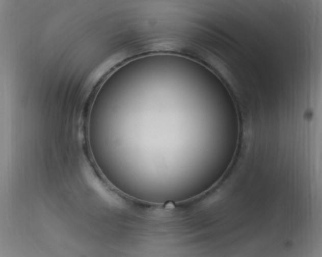 X0000113361034200909221154