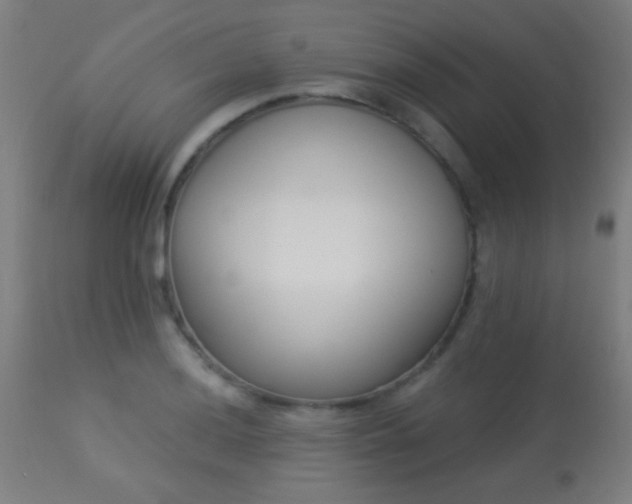 X0000113361036200909221154