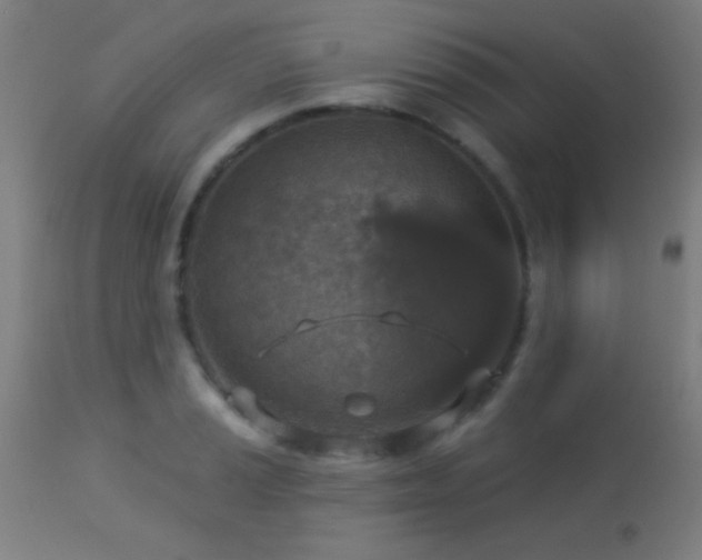 X0000113361037200909221154
