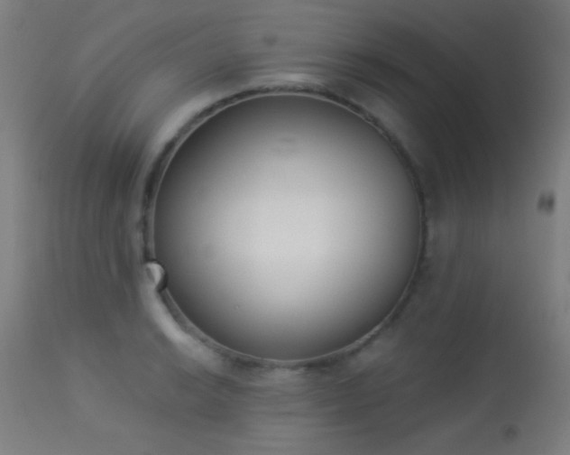 X0000113361038200909221154
