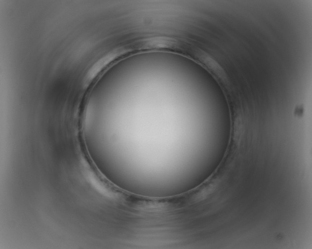 X0000113361039200909221154