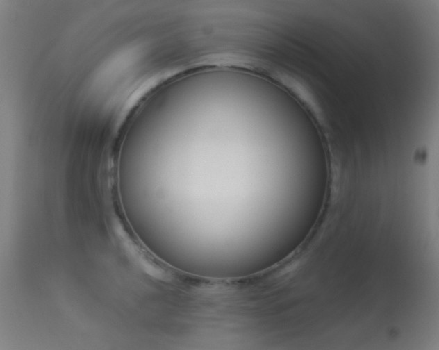 X0000113361040200909221154