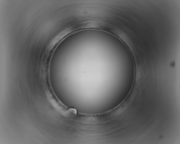 X0000113361042200909221154
