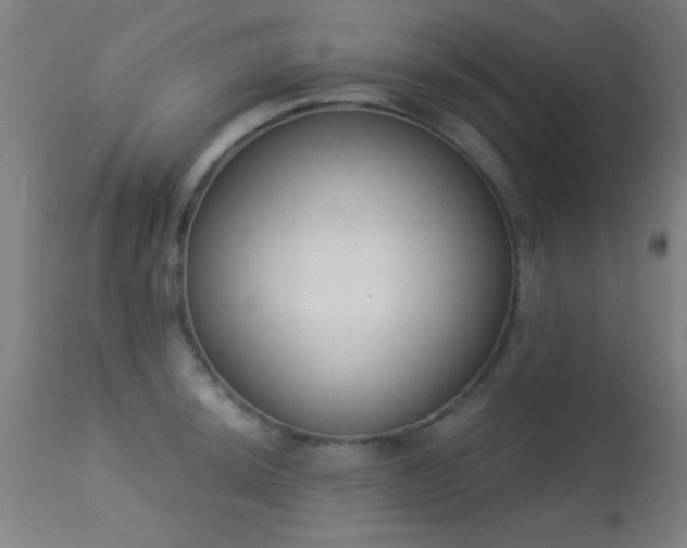 X0000113361044200909221154
