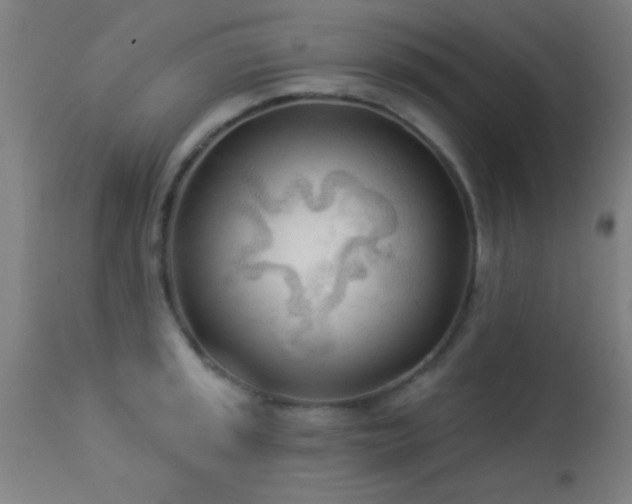 X0000113361045200909221154
