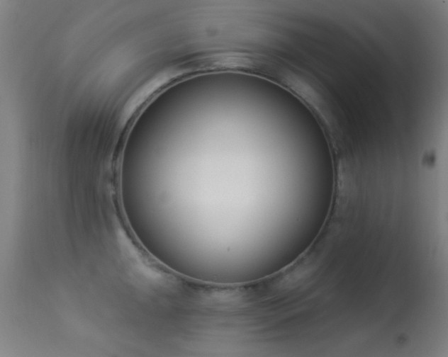 X0000113361047200909221154