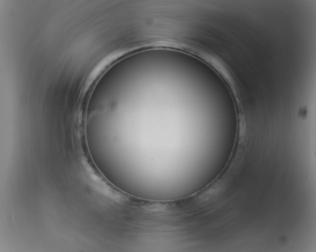 X0000113361048200909221154