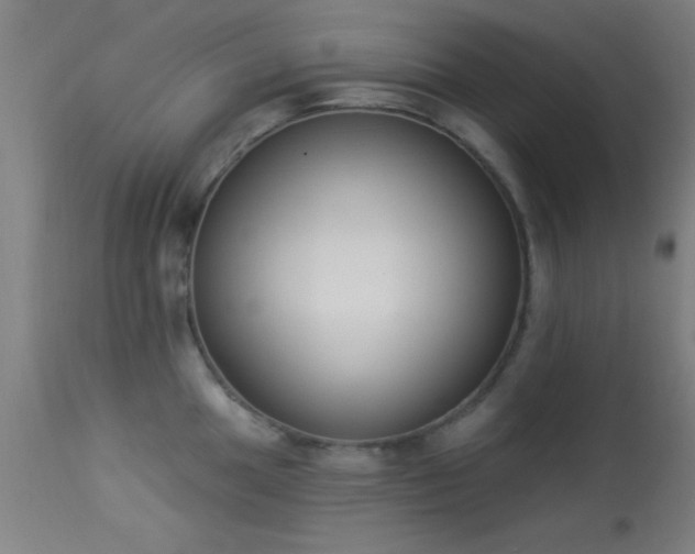 X0000113361049200909221154