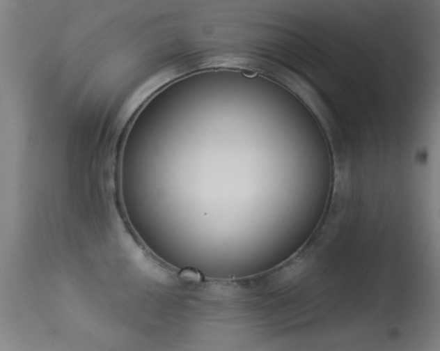 X0000113361050200909221154