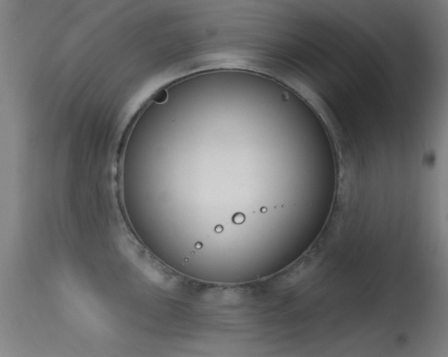 X0000113361051200909221154