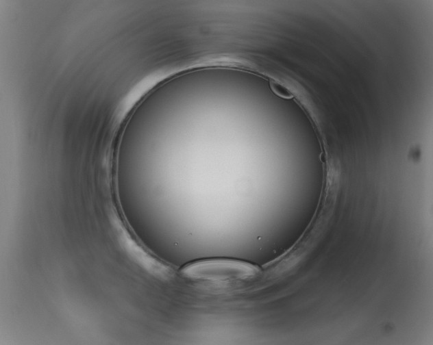 X0000113361054200909221154