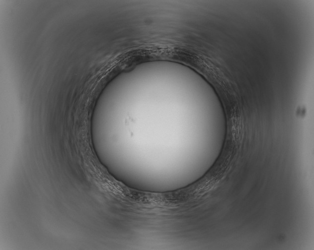 X0000113361057200909221154