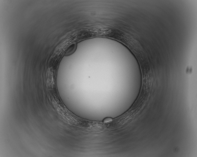 X0000113361058200909221154