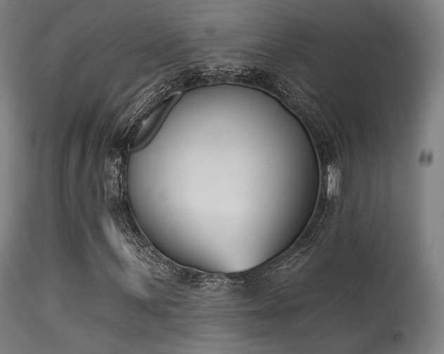 X0000113361059200909221154