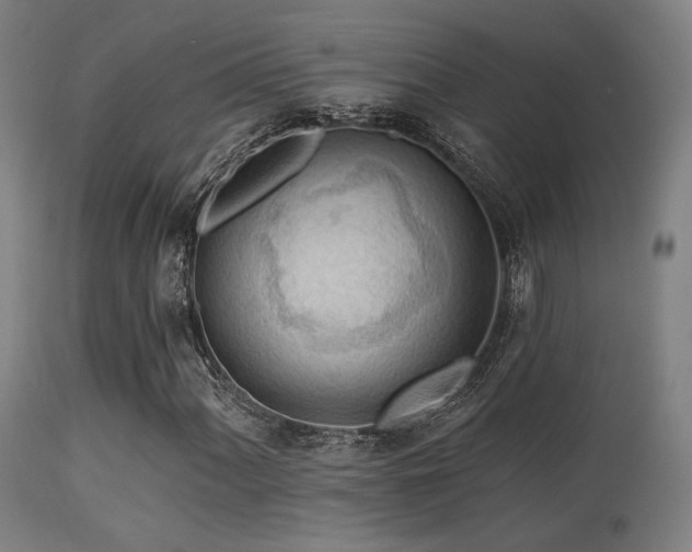 X0000113361060200909221154