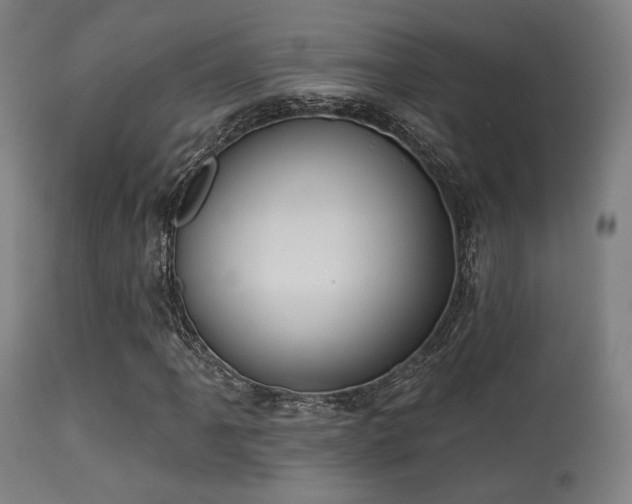 X0000113361061200909221154