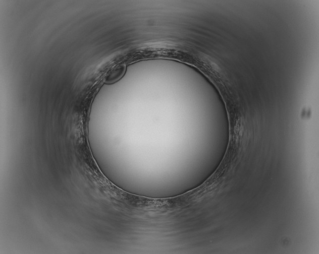X0000113361062200909221154