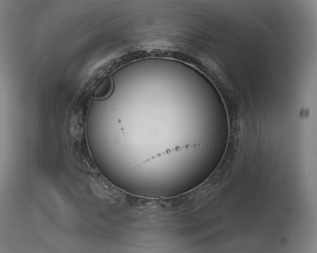 X0000113361063200909221154