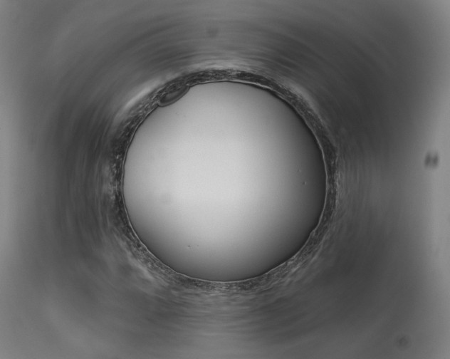 X0000113361064200909221153