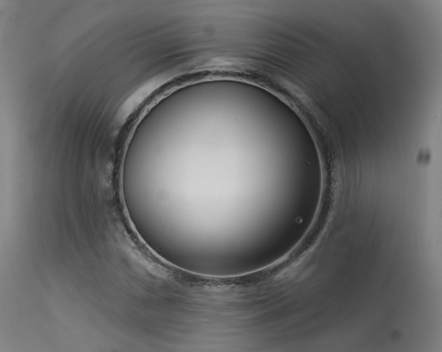 X0000113361066200909221153