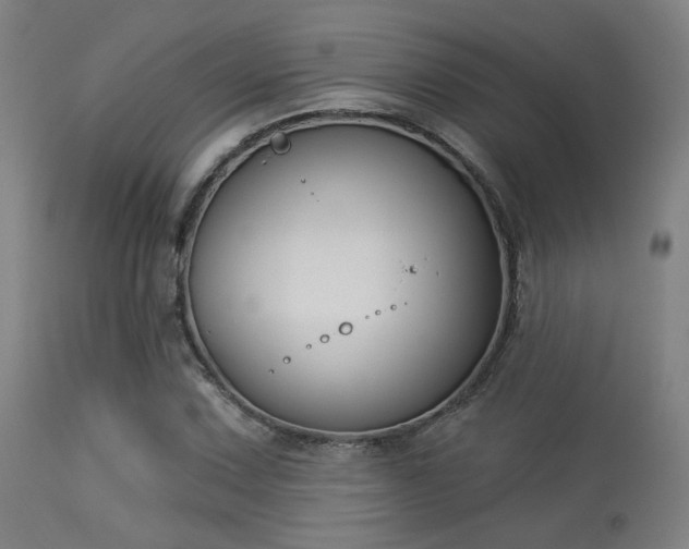 X0000113361067200909221153