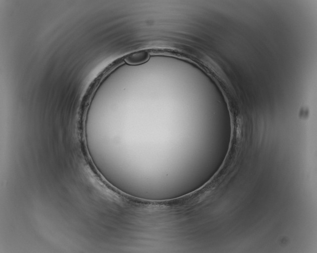 X0000113361068200909221153