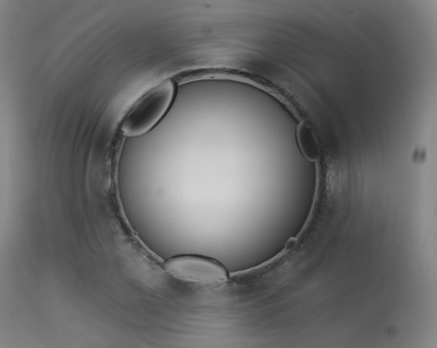 X0000113361069200909221153