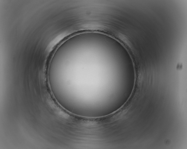 X0000113361071200909221153