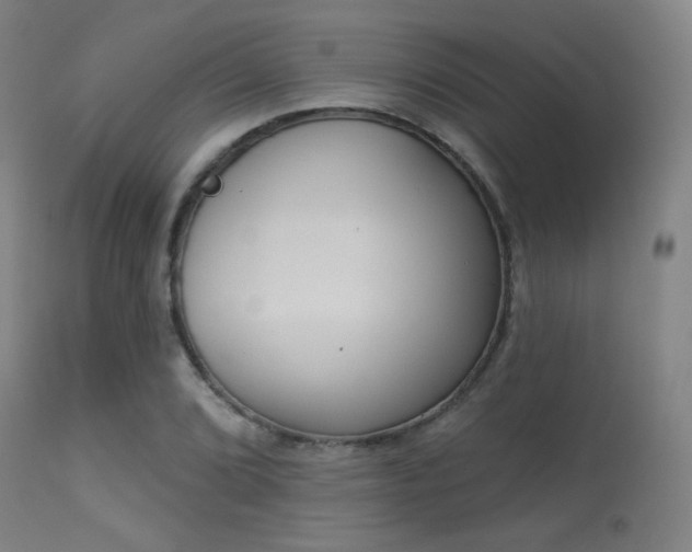 X0000113361072200909221153