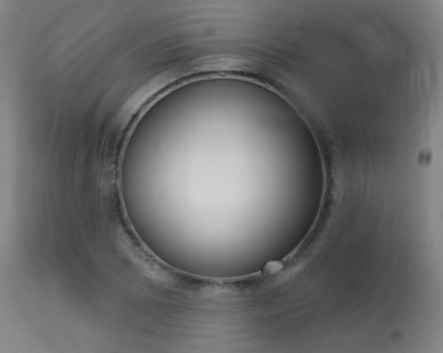 X0000113361073200909221153