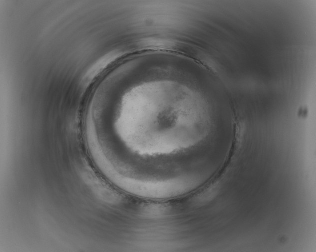 X0000113361074200909221153