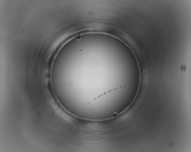 X0000113361075200909221153