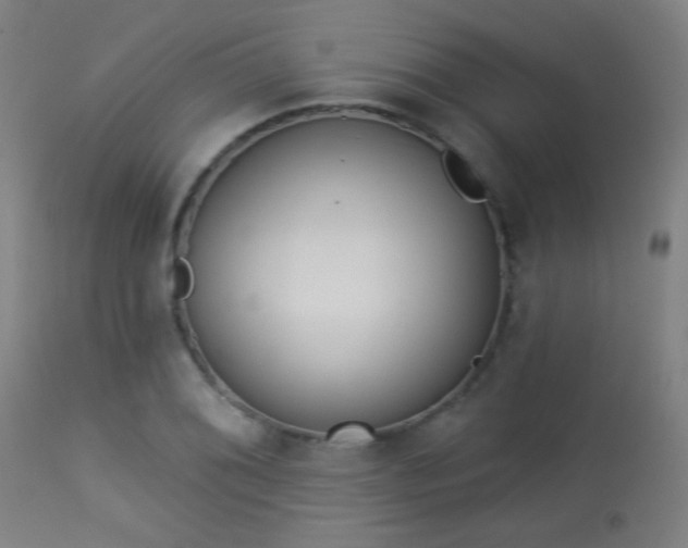 X0000113361076200909221153
