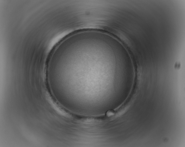 X0000113361077200909221153