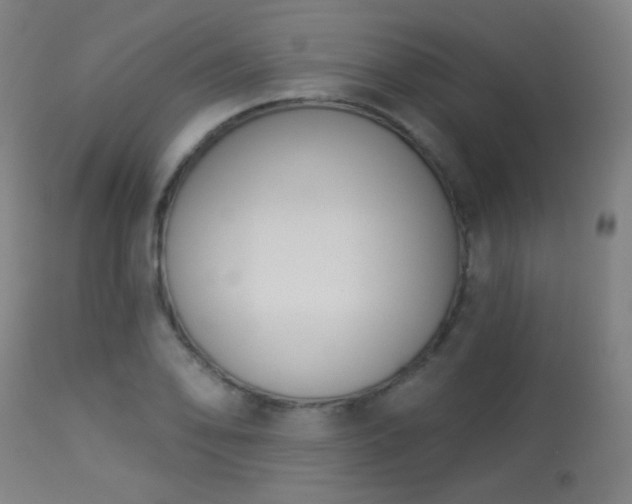 X0000113361078200909221153