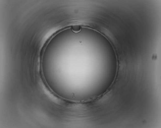 X0000113361079200909221153