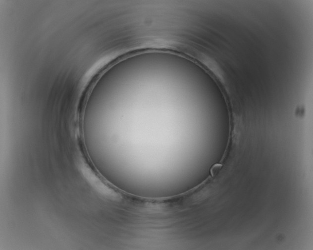 X0000113361080200909221153