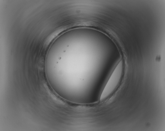 X0000113361081200909221153
