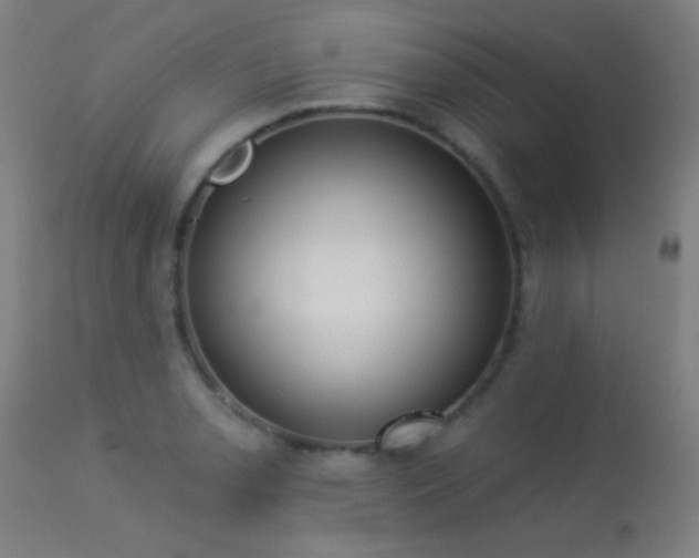 X0000113361085200909221153