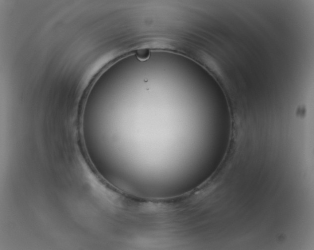 X0000113361087200909221153