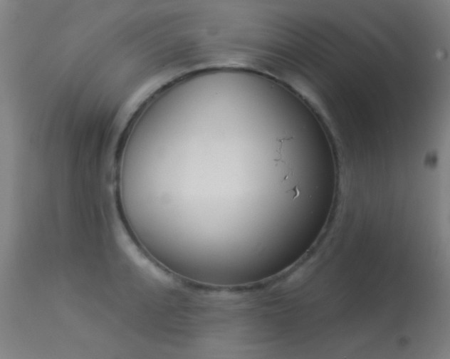 X0000113361088200909221153