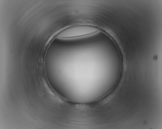 X0000113361089200909221153