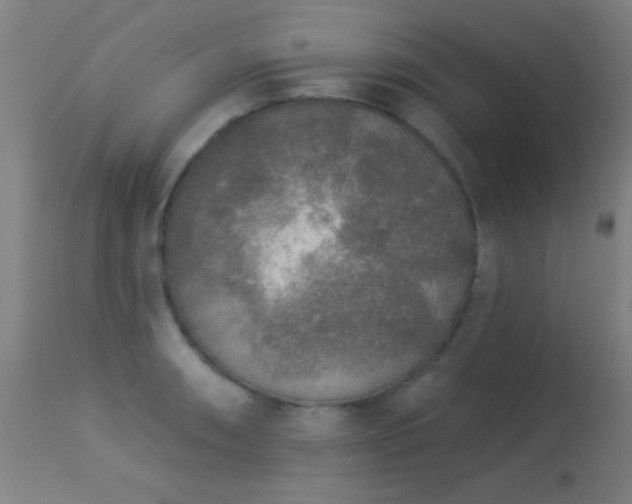X0000113361090200909221153