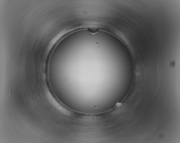 X0000113361091200909221153