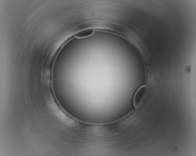 X0000113361092200909221153