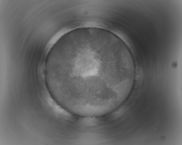 X0000113361094200909221153