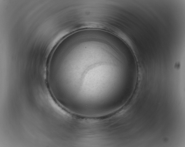 X0000113361095200909221153