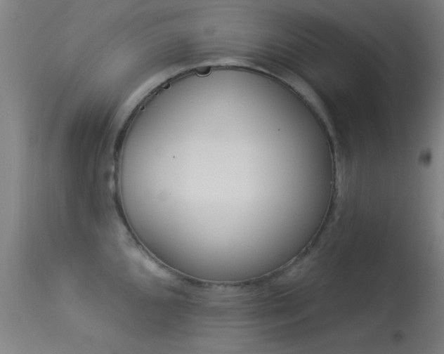 X0000113361096200909221153
